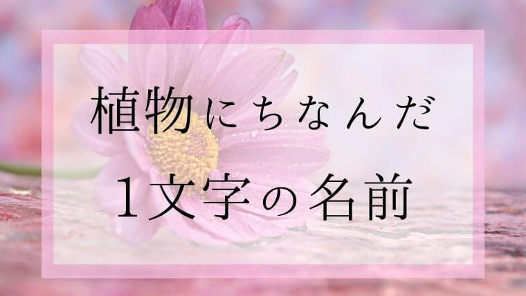 漢字一文字の名前特集 植物や花にちなんだ男の子女の子の名前 名づけのヒント集 Namaegoto
