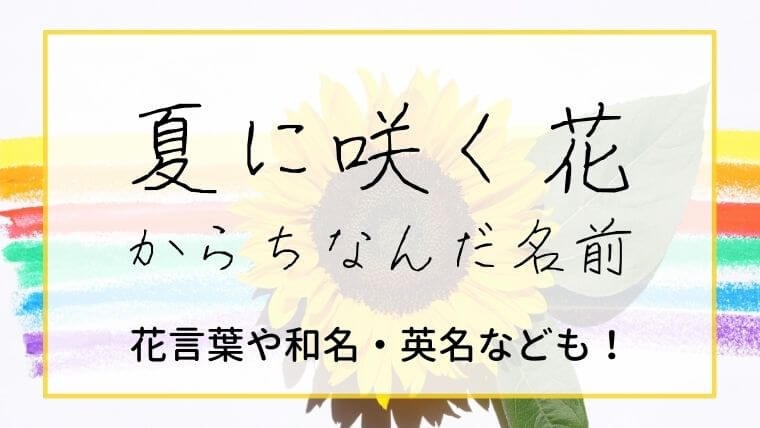 夏に咲く花にちなんだ女の子のかわいい名前67選 名づけのヒント集 Namaegoto