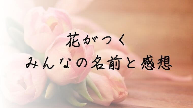 5万人に聞いた 花 がつく赤ちゃんの名前実例と名づけの由来 皆の感想も 赤ちゃんの名づけお役だちサイト